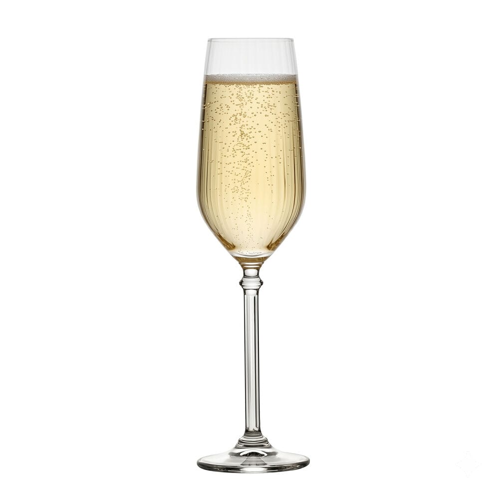 Eloise champagne flute filled with bubbly champagne against a white background.